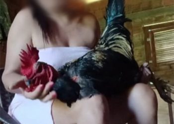 Mulher é investigada por suspeita de maus-tratos a animais no RN